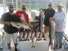 (08/31/2017) - Nice Striped Bass